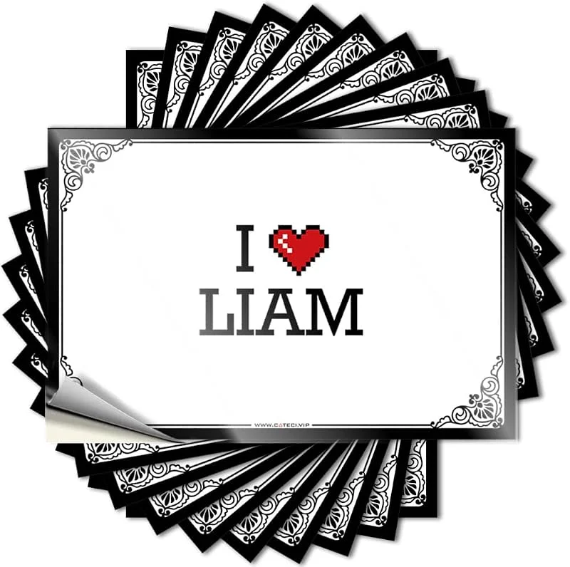Marke: FJHG Lustige Auto-Aufkleber "I Love Liam", großer Aufkleber für Auto, Halloween, Auto-Aufkleber (8 x 12 cm) — Geschenkverpackung